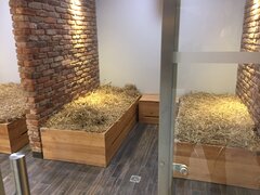 Wypoczywanko na sinku.jpeg