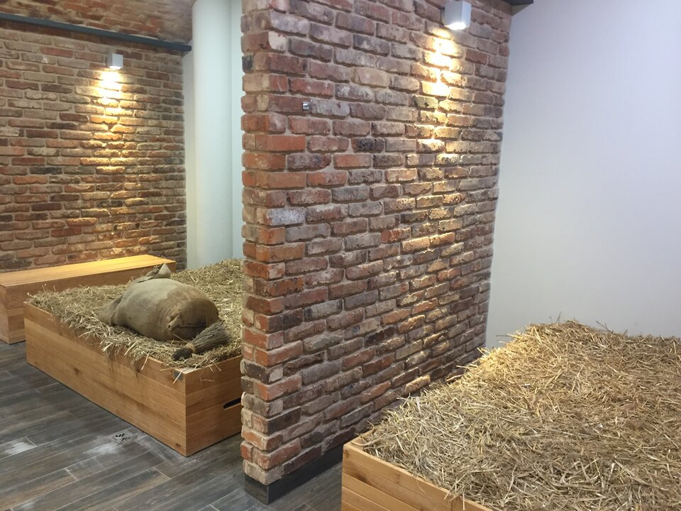 siankooo.jpeg - WodnyPARK