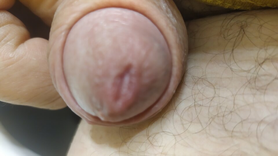 1639870432637708475223619858890.jpg - matuzalem000