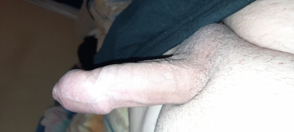 20211219_071543.jpg - Harnas1179