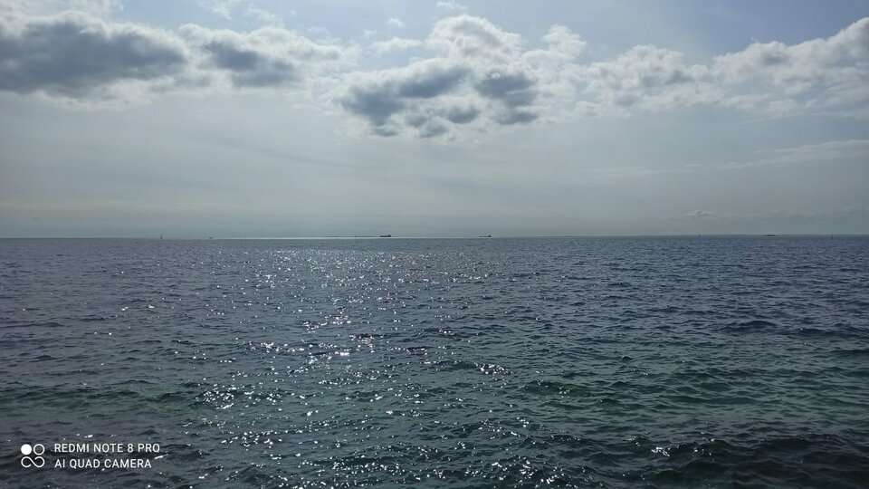 IMG-20210822-WA0098.jpg - Michael14