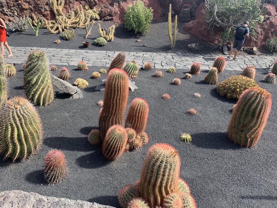 DF0852B9-6F05-45AD-B3DF-976EBEF6DCE2.jpeg - polices