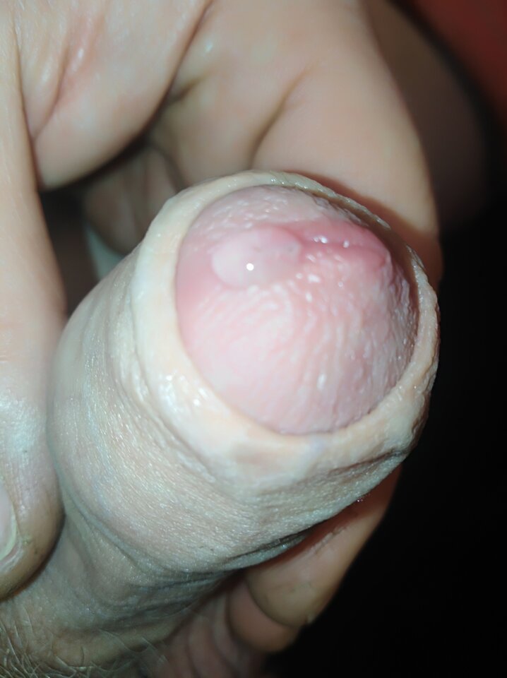 IMG_20211219_235910.jpg - pikulek19