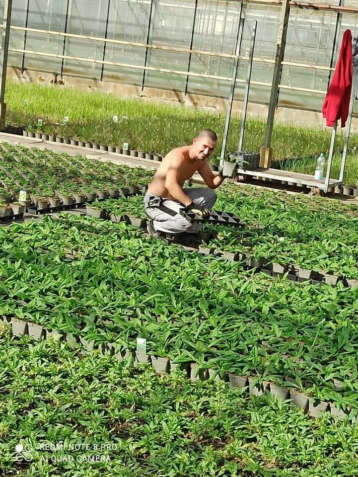 received_419700986246110.jpeg - Jaaroo1