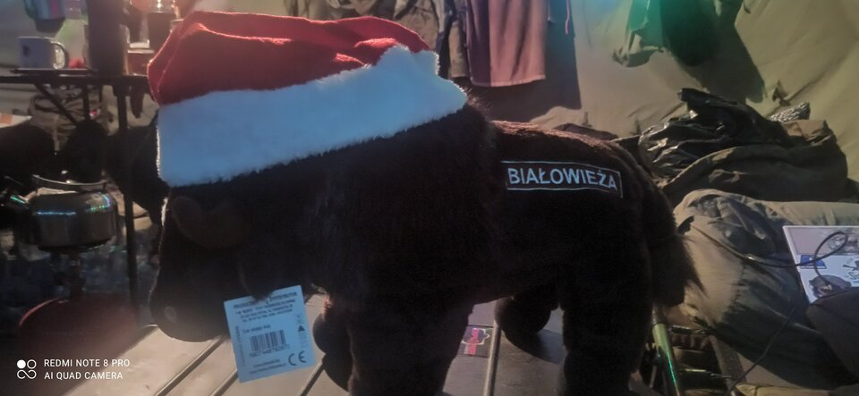 IMG_20211221_201709.jpg - mysiopysio39