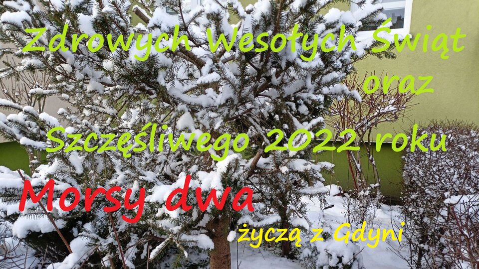 Zbiornik 2021/22 - Morsy_dwa