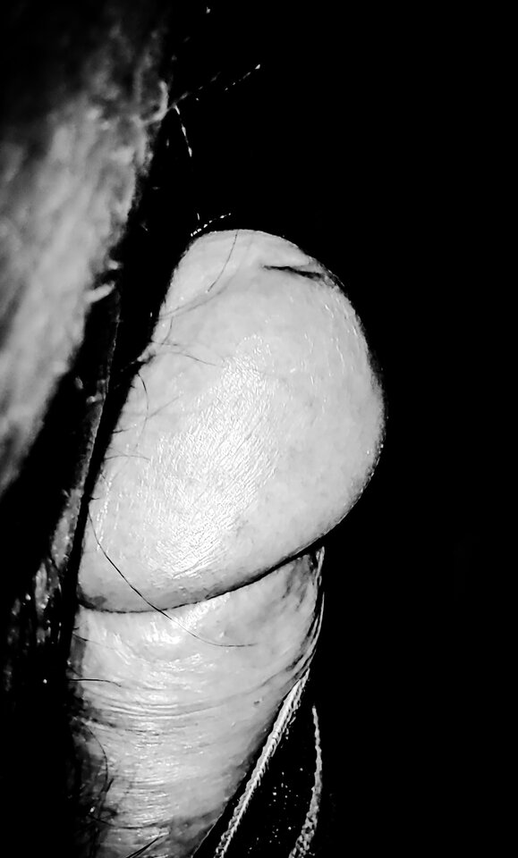PSX_20211223_180934.jpg - Chagal69