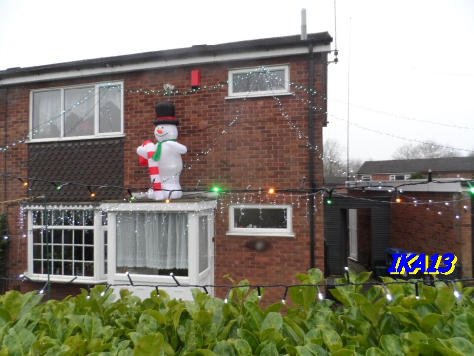 SAM_3849.JPG - ika13