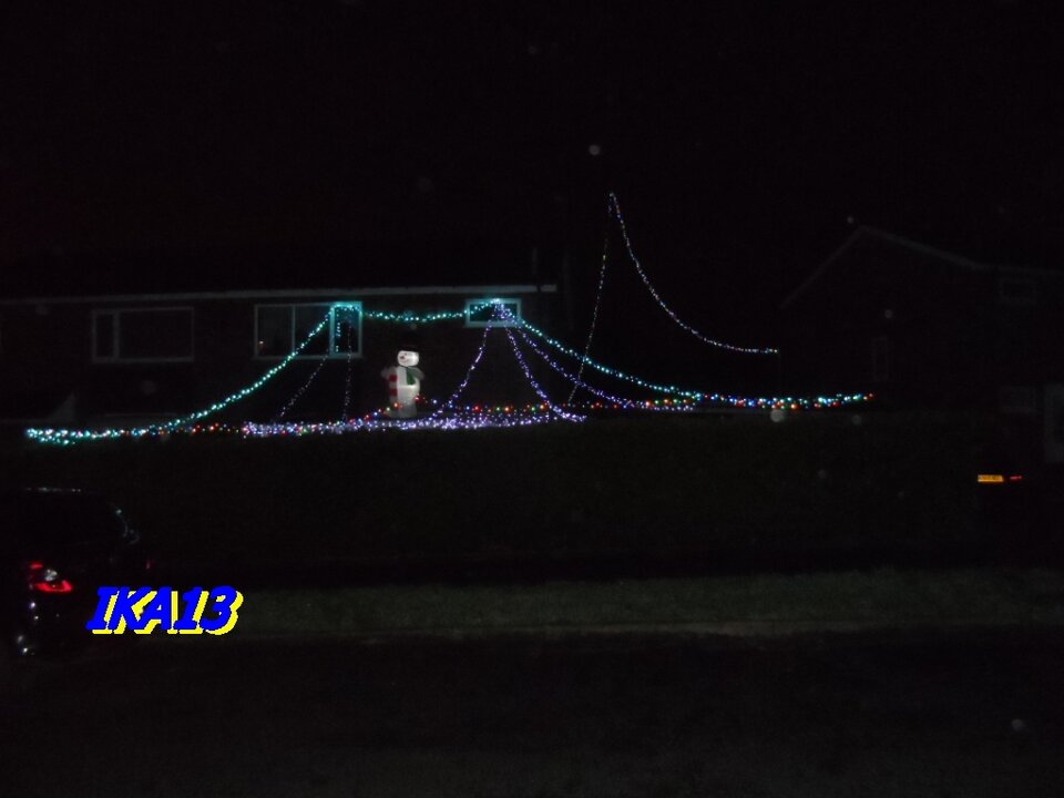 SAM_3854.JPG - ika13