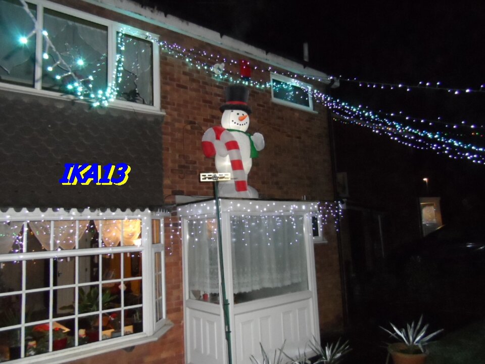 SAM_3858.JPG - ika13