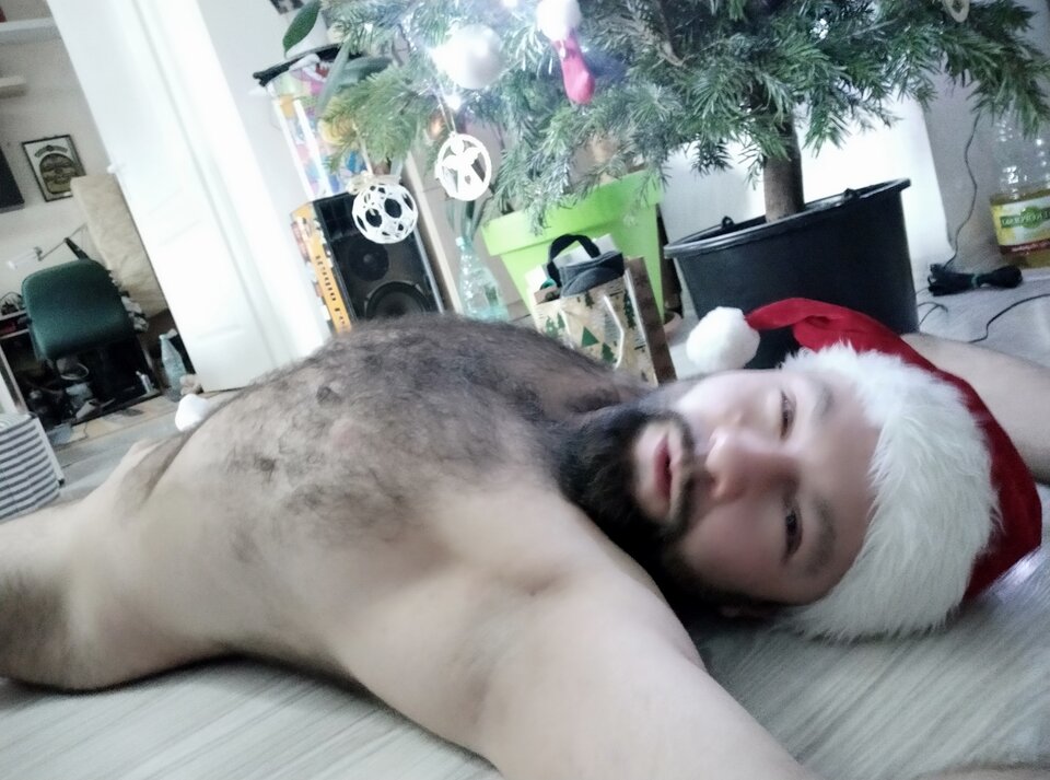 Żywe prezenty pod choinką  - wlochaty85dojrzalej