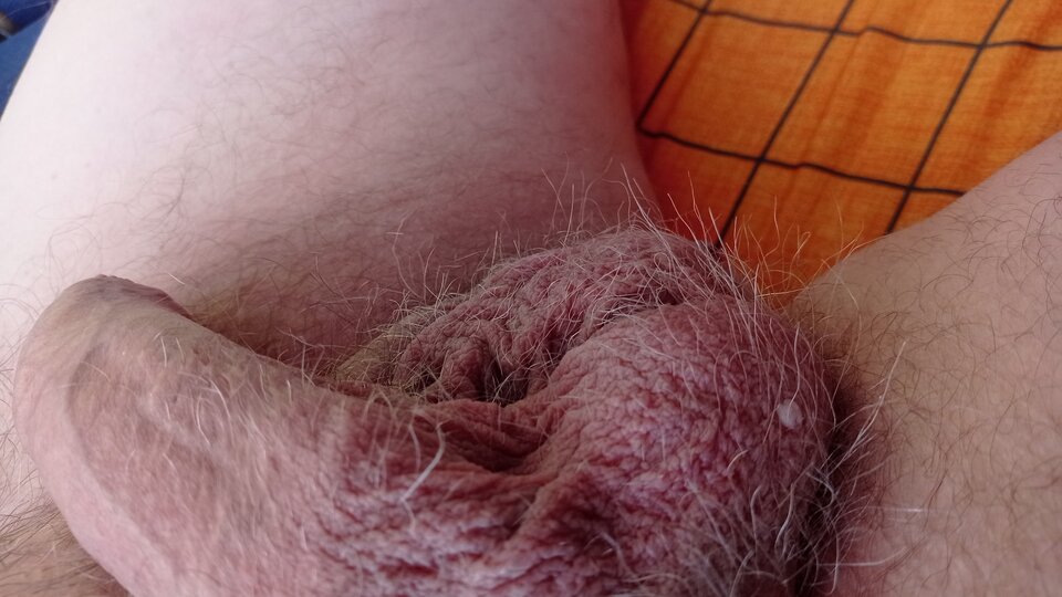 IMG_20211225_092939.jpg - dupekalex