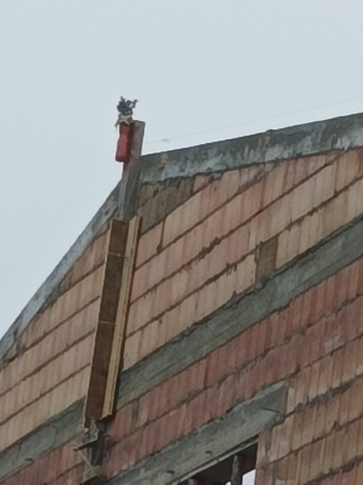 IMG_20211116_132853.jpg - Pawe1990