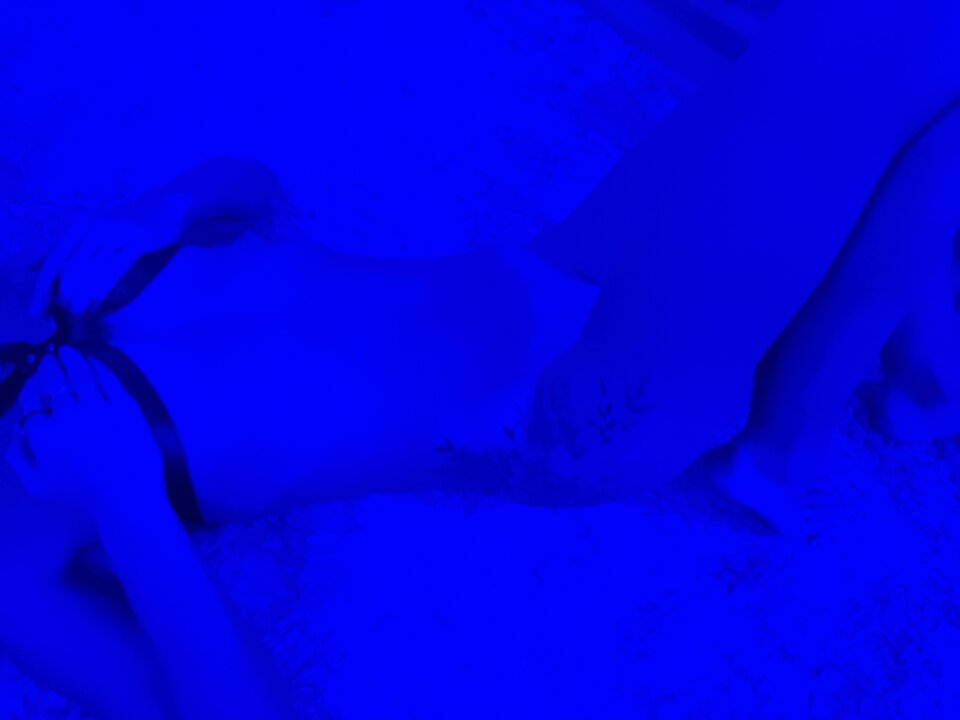 20211114_234507.jpg - para8580