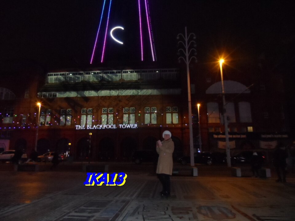 SAM_3865.JPG - ika13