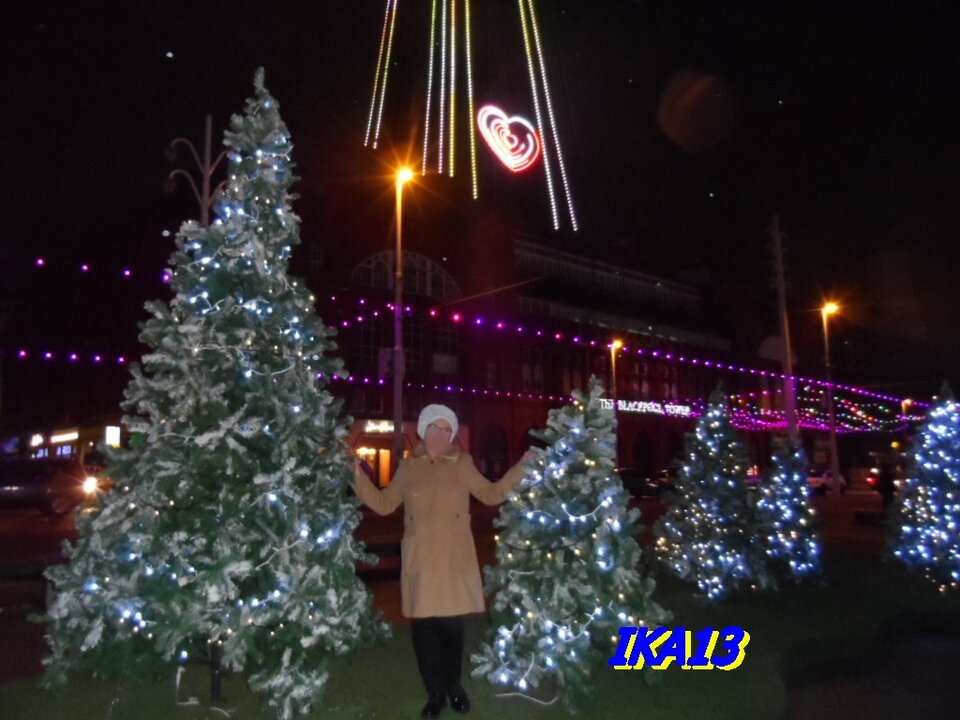 SAM_3867.JPG - ika13