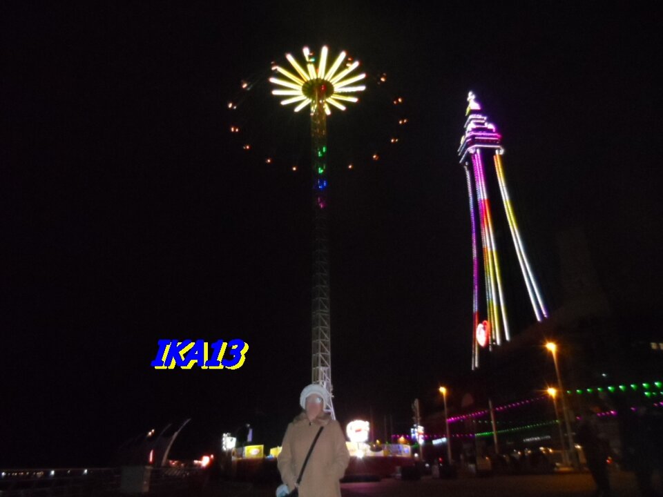 SAM_3870.JPG - ika13