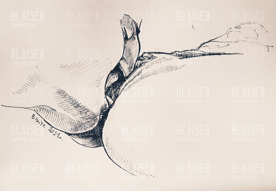Art. No. 128 - blaise8