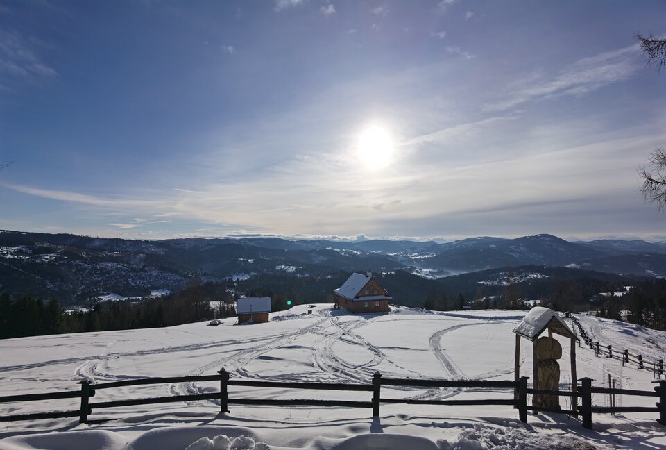 IMG_20211228_123542.jpg - Lis_i_Opos