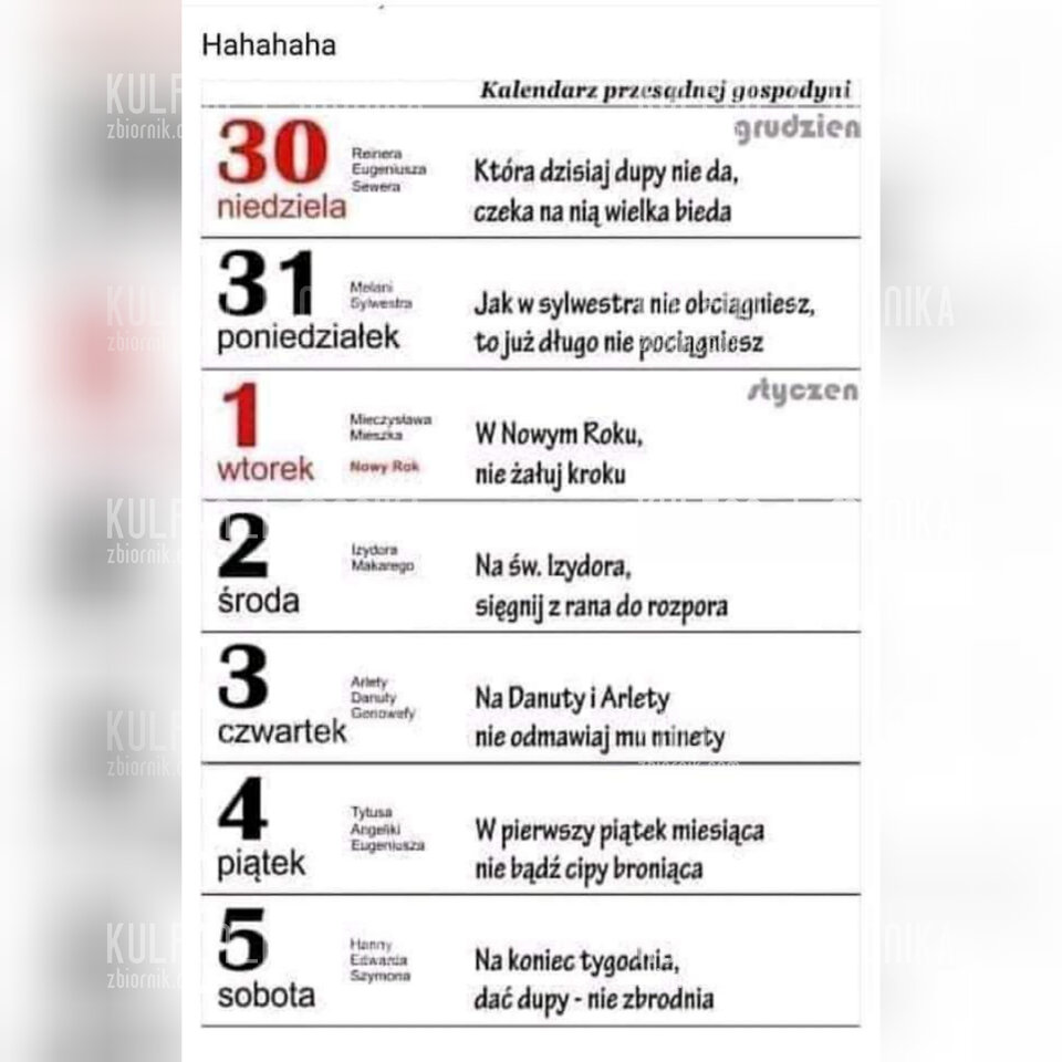 InShot_20211228_224802604.jpg - Kulfon_i_Monika