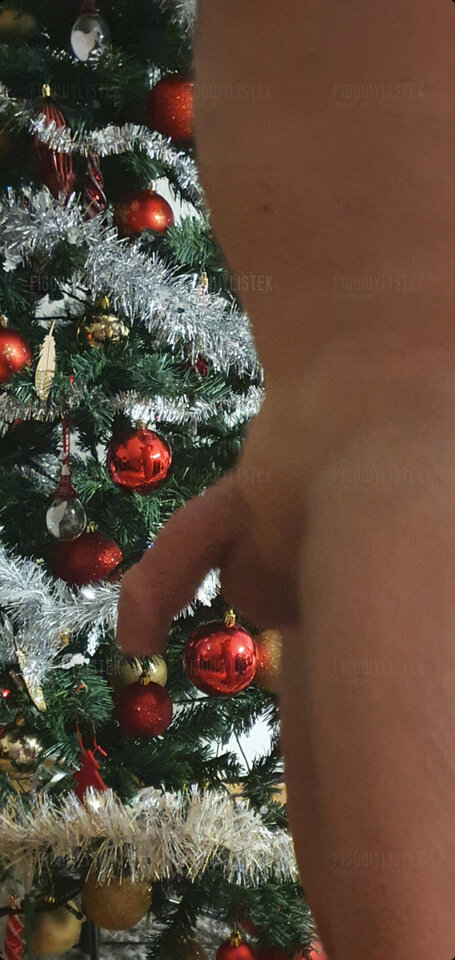 Screenshot_20211229-085850_Gallery.jpg - Figowylistek