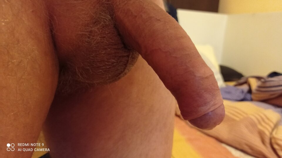 IMG_20211229_114228.jpg - ardas1