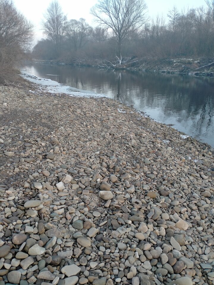 1640783432899835436893434141323.jpg - maniana35