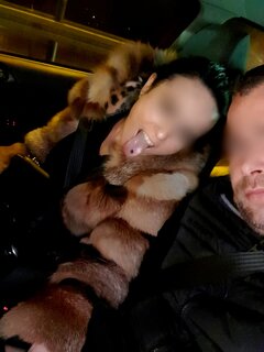 Point Blur_Dec302021_181409.jpg