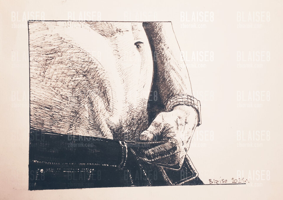 Art. No. 129 - blaise8