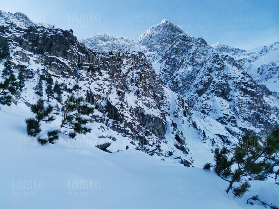 IMG_20211228_111117.jpg - Anusiaki