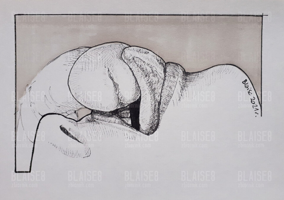 Art. No. 132 - blaise8