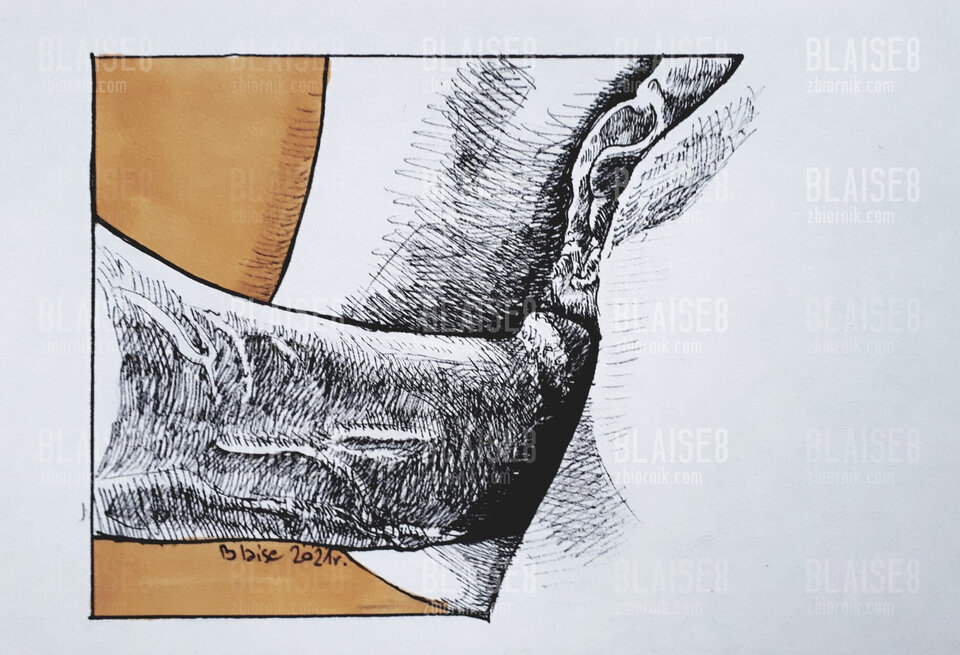 Art. No. 133 - blaise8