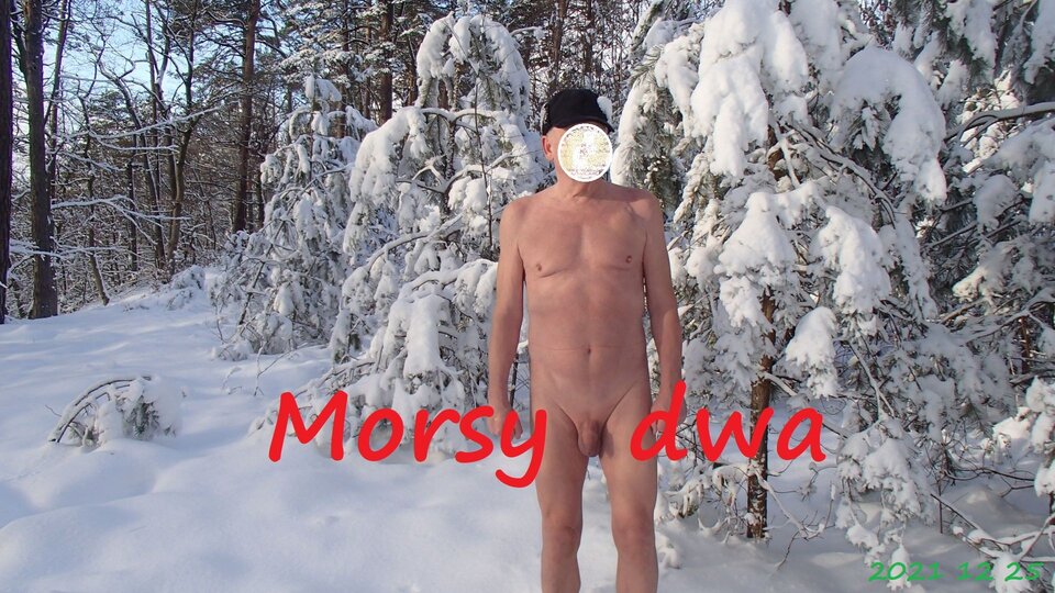 Zbiornik 1608 - Morsy_dwa