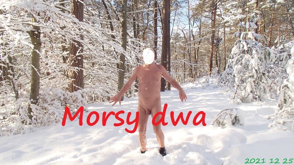 Zbiornik 1611 - Morsy_dwa