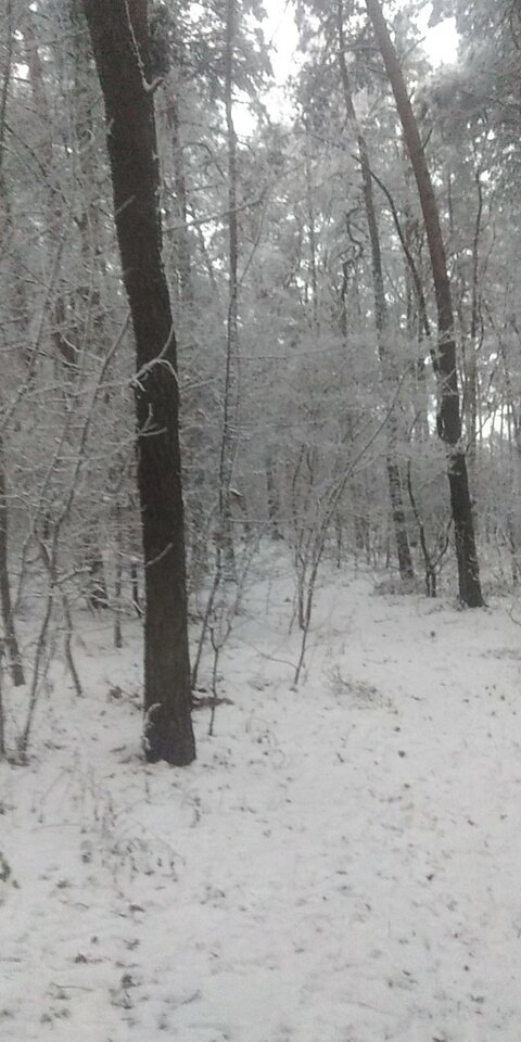 USER_SCOPED_TEMP_DATA_MSGR_PHOTO_FOR_UPLOAD_1639233220113.jpeg - Rafalko