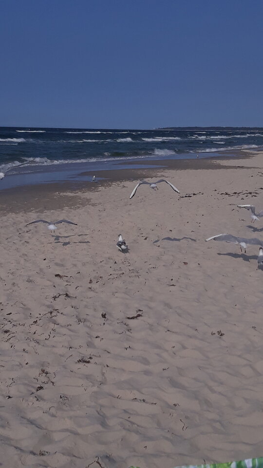 20190730_173318.jpg - Lucyfer042