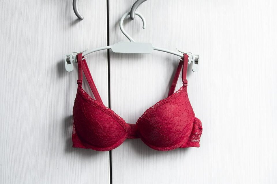 Dzien-Bez-Stanika-2022 nadchodzi.jpg - Camel112