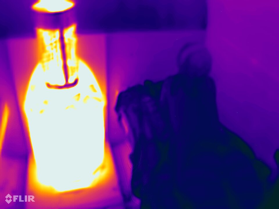 flir_20220101T211543.jpg - Vifon8486