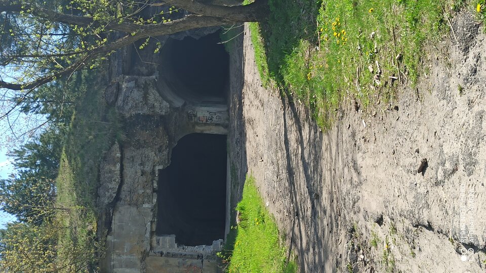 IMG_20210509_102939.jpg - IwonaMAM