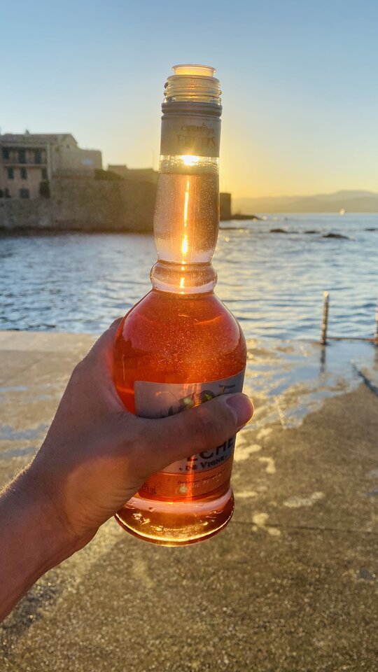 731D55DE-81D4-4530-8CD5-9EA5A61AD56D.jpeg - Banano1996