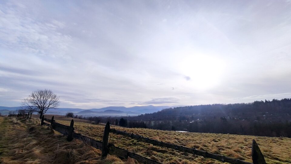 IMG_20220102_130859.jpg - jaseporn