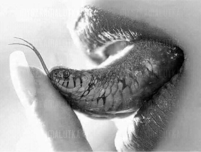 FB_IMG_1641050465695.jpg - myszkamalutka