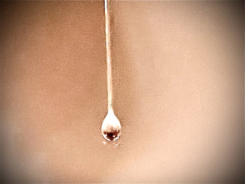 3E6E3247-2F1F-4B7E-B88F-352F2A5A7498.jpeg - jac2