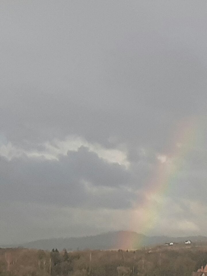 20220103_134540.jpg - 19slaw79