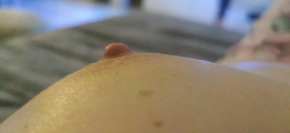 IMG_20211227_215159_edit_787055995196048.jpg - dragonfly4