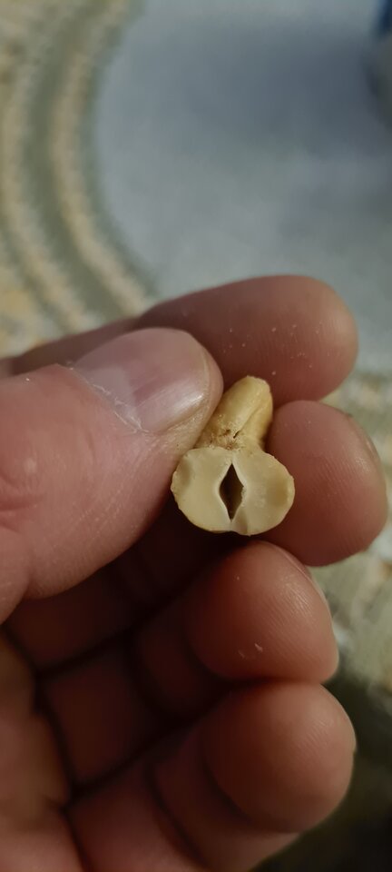 20220101_195247.jpg - realny1