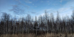 PSX_20220104_103920.jpg