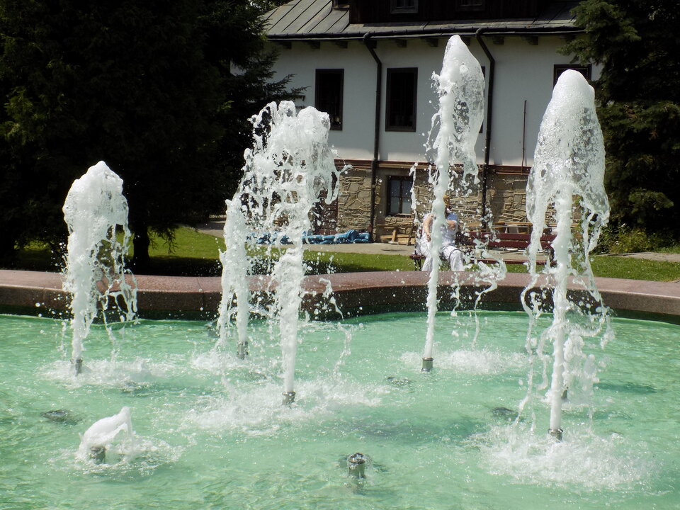 DSCN4417.JPG - zmyslowy74