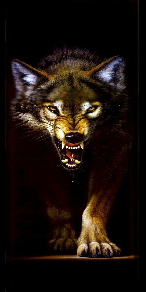 wolf-d9e2f23c-997a-3dd0-9854-ca20485d7ef1.jpg - matys587