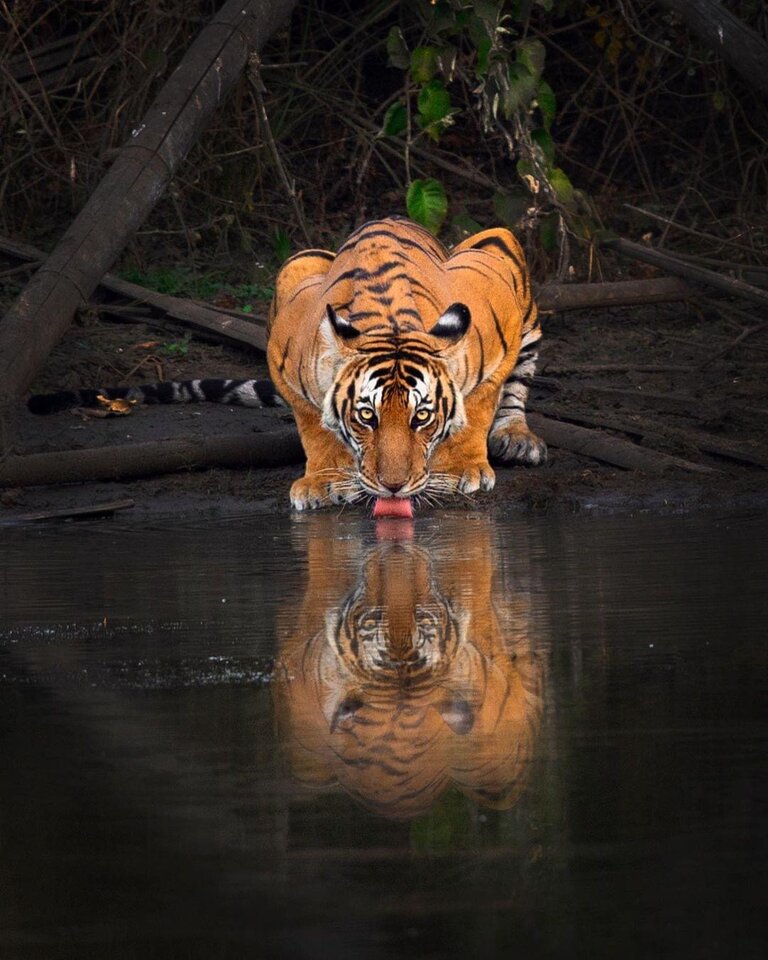 C88D9DE8-07E9-4C77-A91E-1A9B7790C3E6.jpeg - _Stavros_